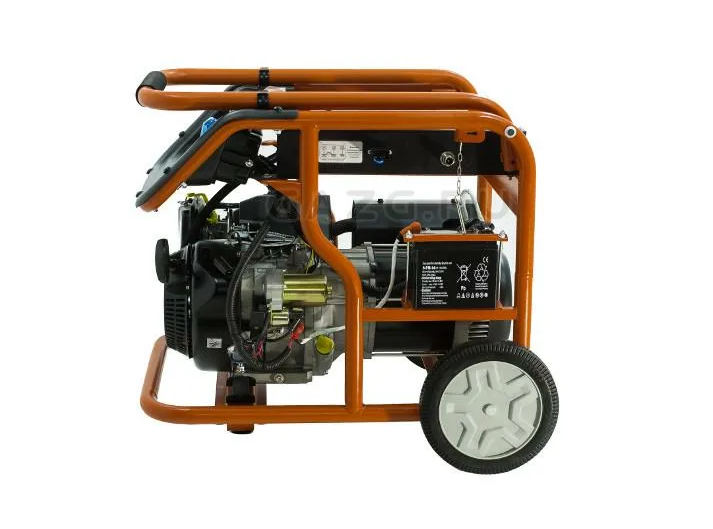 REG GG8000-A (220В) 